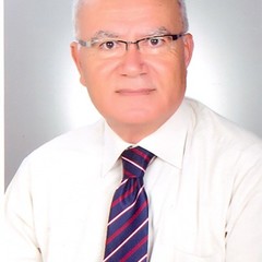 Hayatı  Filik's profile picture