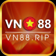 VN 88's profile picture