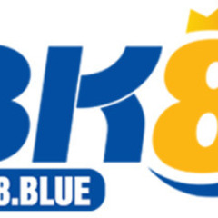 BK8 Blue's profile picture