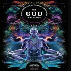 DMT Carts's profile picture