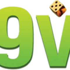 69 VN's profile picture