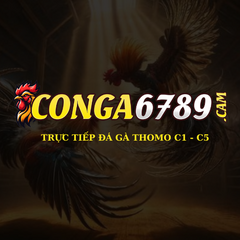 CON GA 6789's profile picture