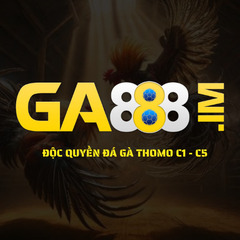 GA 888's profile picture