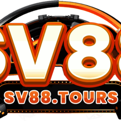 SV 88's profile picture