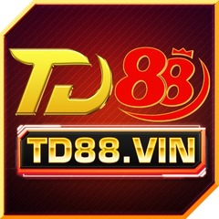 TD88 vin's profile picture