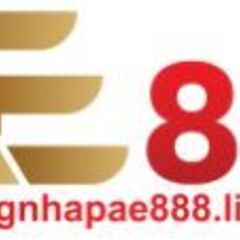 AE 888's profile picture