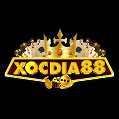 XOCDIA88  training's profile picture
