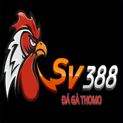 sv388gift sv388gift's profile picture