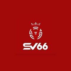 SV66 One  Com's profile picture
