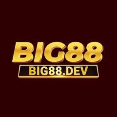 big88 dev's profile picture