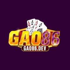 gao86 dev's profile picture