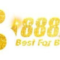 888 B's profile picture