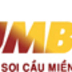 Soi cầu  247's profile picture