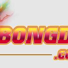 Bongdalu: Trải Nghiệm Bóng Đá Đỉnh Cao Nhất Trong Năm 2025's profile picture