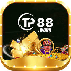 tp88 wang's profile picture