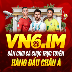 VN6 IM's profile picture