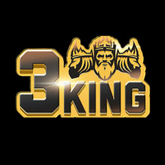 3king  sinfo's profile picture
