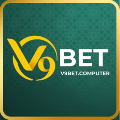 v9bet computer's profile picture