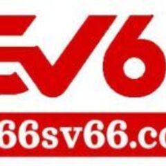 Trang chủ  sv66's profile picture