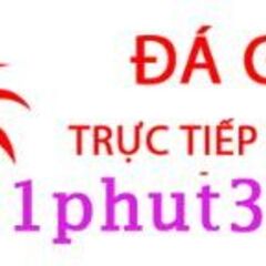 Đá Gà Trực Tiếp Thomo Hôm Nay's profile picture