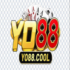 Yo88  shenphoto's profile picture