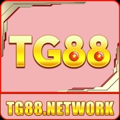 TG88 network's profile picture