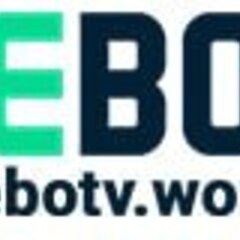 Vebotv Works's profile picture