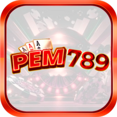 pem789 it com's profile picture
