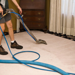 Carpet cleaning In Chicago's profile picture