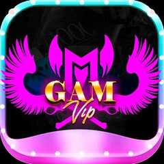 GAMVIP it com's profile picture