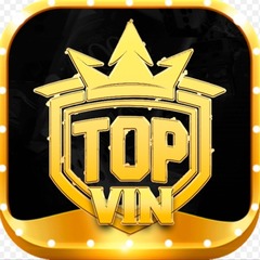 topvin it com's profile picture