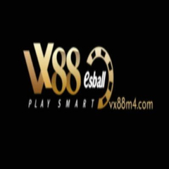 Vx88 M4's profile picture