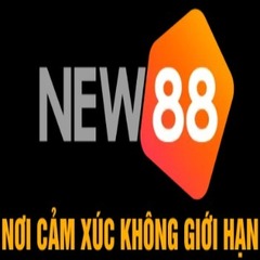 NEW88 Link Đăng Nhập's profile picture
