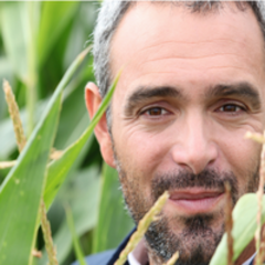 David  Saroni's profile picture