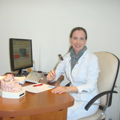 Elena Lebedeva's profile picture