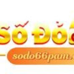sodo66  pam com's profile picture