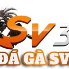 đá gà sv388's profile picture