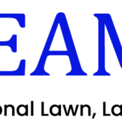 Dream Scapes's profile picture