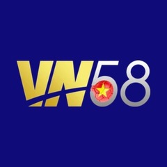 VN58 codes's profile picture