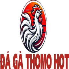 ĐÁ GÀ THOMO   HOT's profile picture