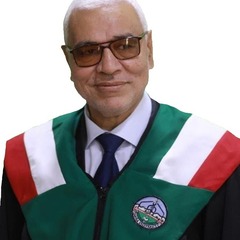 Abdelmonem Hegazy's profile picture