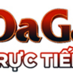 Đá gà trực tiếp DagaCO's profile picture