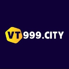 Vt999 city's profile picture