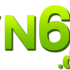 VN 69's profile picture