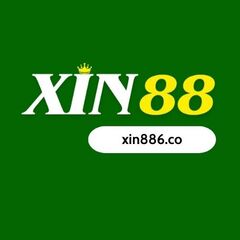 xin88 co's profile picture
