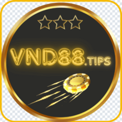vnd 88tips's profile picture