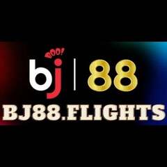 BJ 88's profile picture
