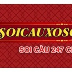 soicauxoso 247tv's profile picture