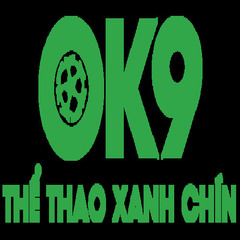 OK9 it com's profile picture