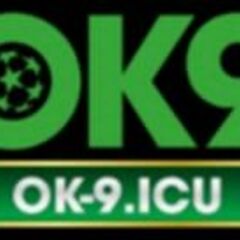 OK9 icu's profile picture